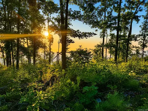 000 Evans Mountain Rd, Clinton, AR 72031 photo 25