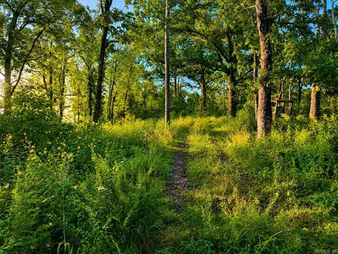 000 Evans Mountain Rd, Clinton, AR 72031 photo 24