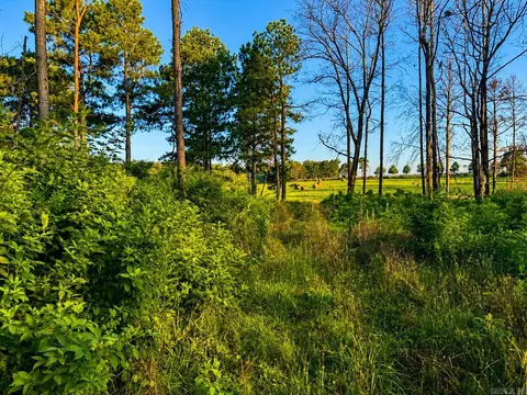 000 Evans Mountain Rd, Clinton, AR 72031 photo 28