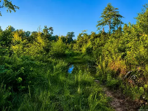 000 Evans Mountain Rd, Clinton, AR 72031 photo 30