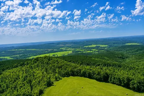 000 Evans Mountain Rd, Clinton, AR 72031 photo 12