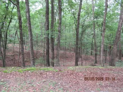 lot163 Blk 10 Lake Dwellers Dr, Fairfield Bay, AR 72088