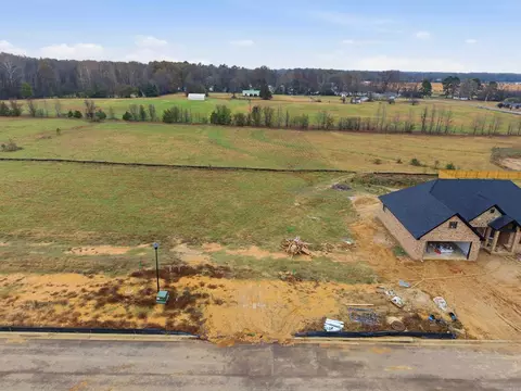 22 Libra Ln, Ward, AR 72176 photo 18