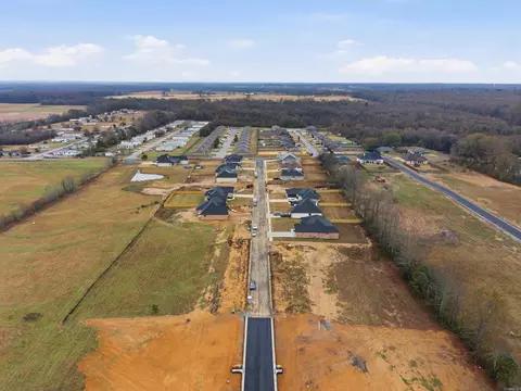 22 Libra Ln, Ward, AR 72176 photo 20
