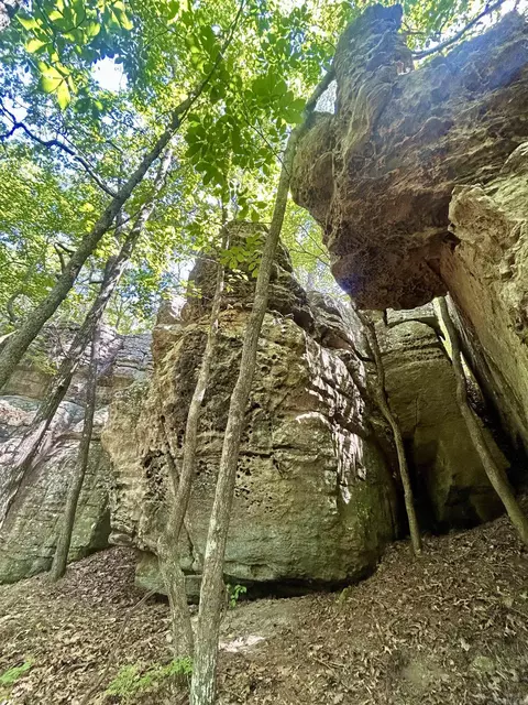 Other - 3684 Lute Mountain Rd, Shirley, AR 72153 photo 8 of 15