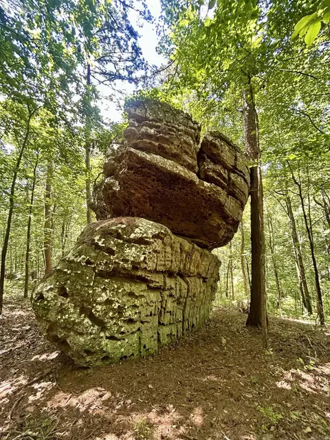 Other - 3684 Lute Mountain Rd, Shirley, AR 72153 photo 11 of 15