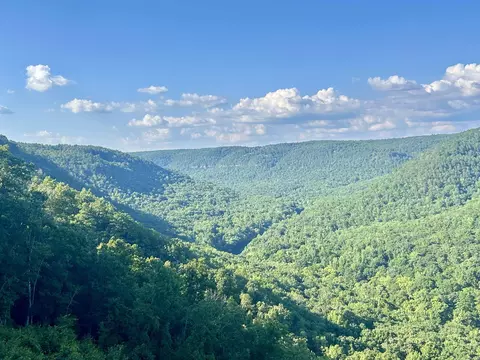 View/Area - 3684 Lute Mountain Rd, Shirley, AR 72153 photo 1 of 3