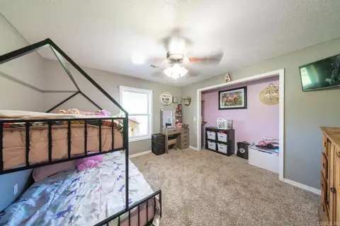 Other - 199 County Road 250, Thayer, MO 65791 photo 10 of 24