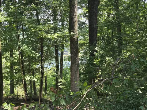 lot231 232 Medinah, Hot Springs, AR 71913