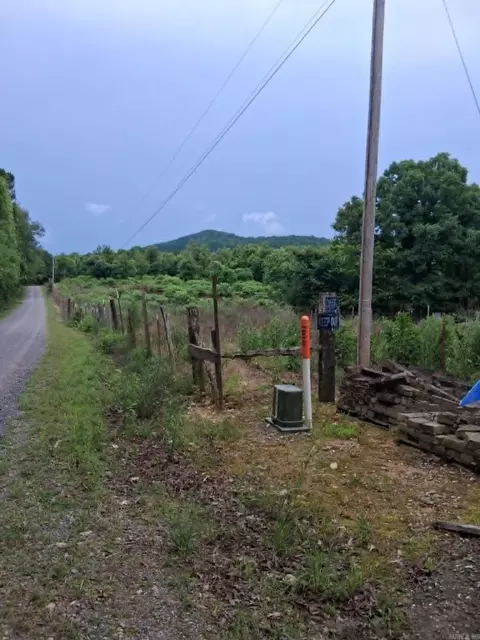 246 Burgess Rd, Bonnerdale, AR 71933