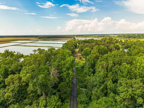 000 Saylor Rd, Lonoke, AR 72086 photo 4