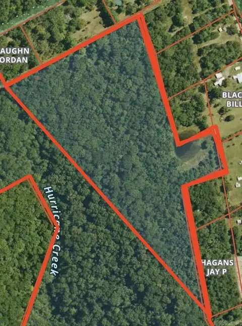 tbd White Oak Mountain Rd, Hector, AR 72843