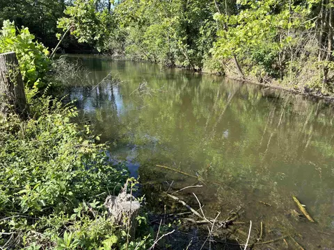10198 Hwy 115, Maynard, AR 72444 photo 6