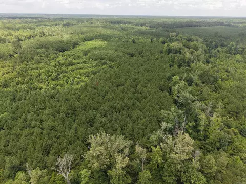 000 County Road 208, Junction City, AR 71749 photo 18