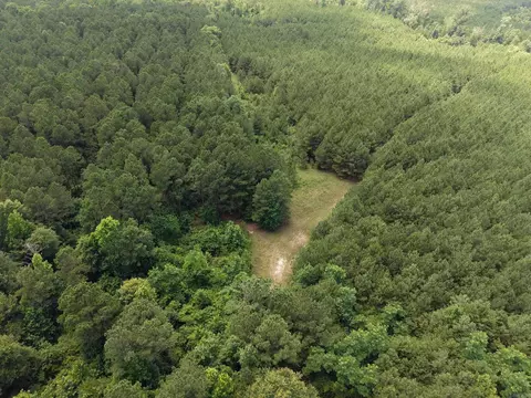 000 County Road 208, Junction City, AR 71749 photo 3