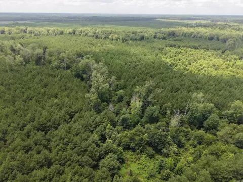 000 County Road 208, Junction City, AR 71749 photo 14