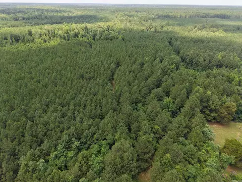 000 County Road 208, Junction City, AR 71749 photo 5