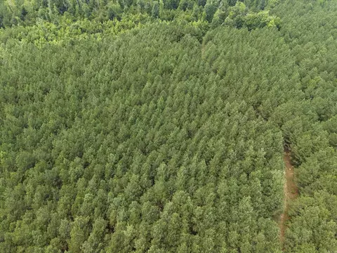 000 County Road 208, Junction City, AR 71749 photo 7