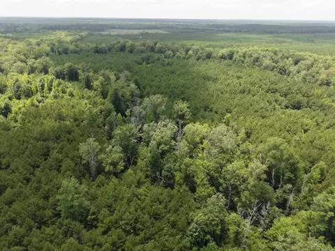 000 County Road 208, Junction City, AR 71749 photo 15