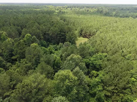 000 County Road 208, Junction City, AR 71749 photo 2