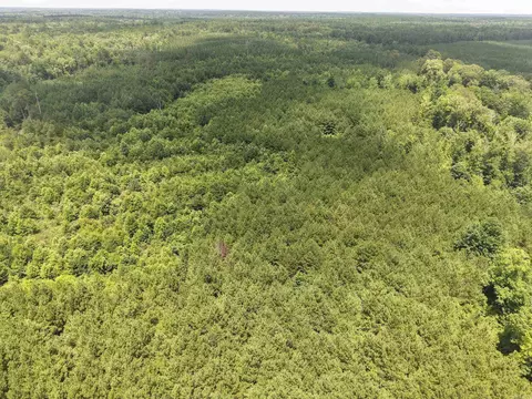 000 County Road 208, Junction City, AR 71749 photo 21