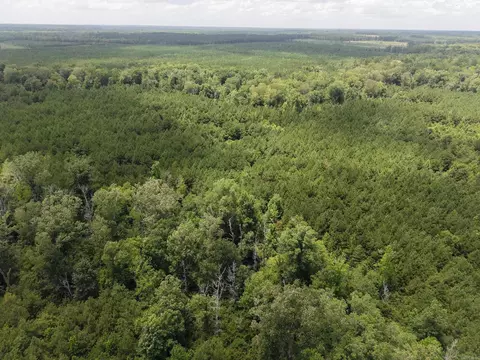 000 County Road 208, Junction City, AR 71749 photo 16