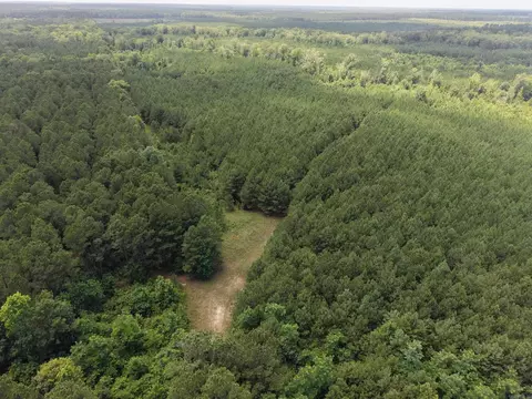 000 County Road 208, Junction City, AR 71749 photo 4