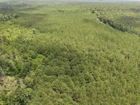 000 County Road 208, Junction City, AR 71749 photo 20