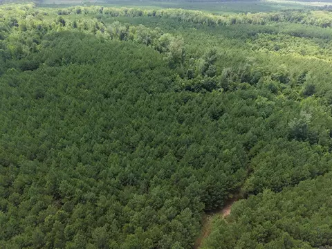 000 County Road 208, Junction City, AR 71749 photo 12