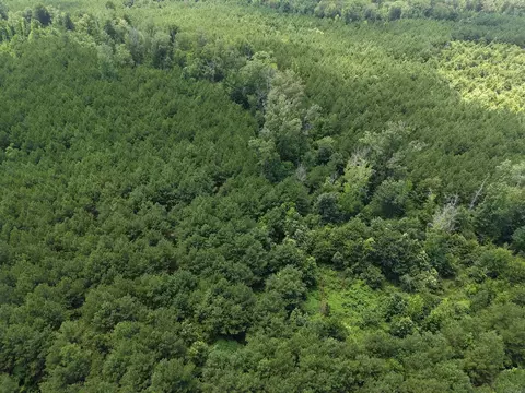 000 County Road 208, Junction City, AR 71749 photo 13