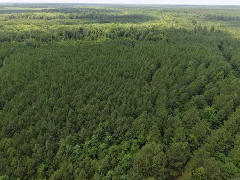 000 County Road 208, Junction City, AR 71749 photo 6