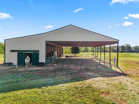 Other - 163 Barbie Ln, Mount Ida, AR 71957 photo 14 of 16