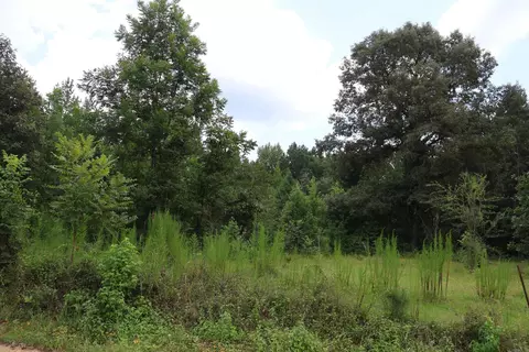 Priaire Chapel Road, Fountain Hill, AR 71642