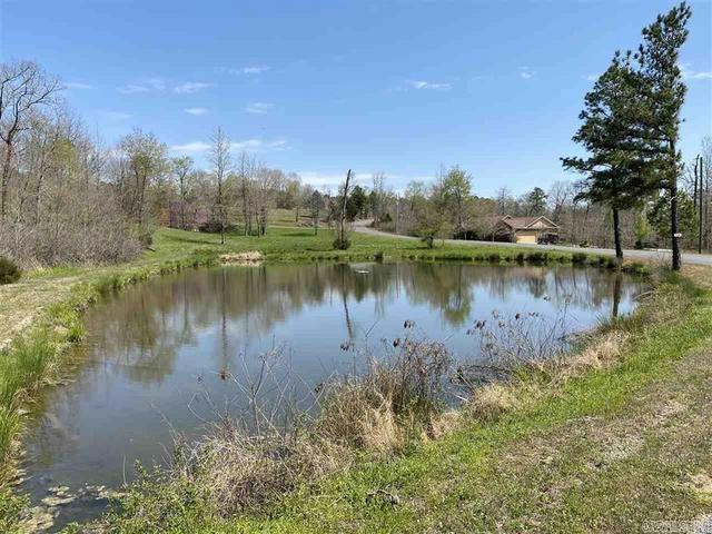 200 Natural Pl, Royal, AR 71968