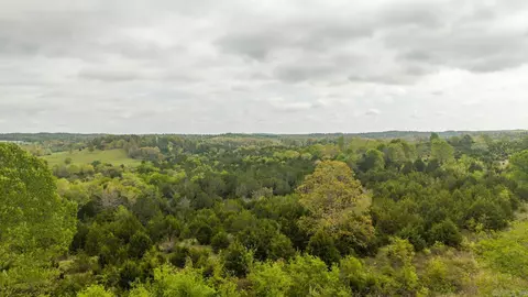 5 Little Woods Road, Elizabeth, AR 72531