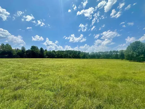 00 Maddox Dr, Quitman, AR 72131 photo 3