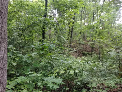 Other - 300 Arrow Head, Mountain View, AR 72560 photo 9 of 12