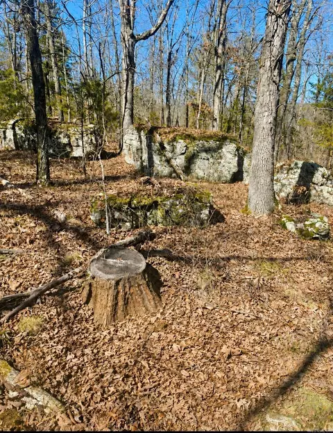Other - 300 Arrow Head, Mountain View, AR 72560 photo 11 of 12