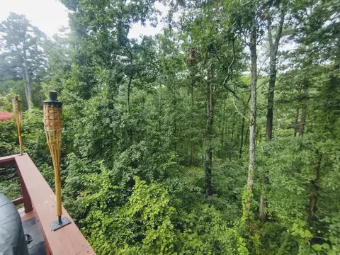 Exterior - 300 Arrow Head, Mountain View, AR 72560 photo 8 of 9
