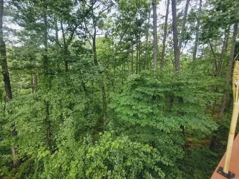 Other - 300 Arrow Head, Mountain View, AR 72560 photo 6 of 12