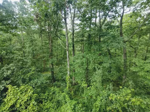 Other - 300 Arrow Head, Mountain View, AR 72560 photo 7 of 12