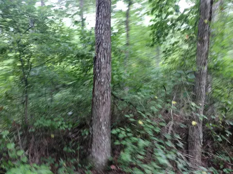 Other - 300 Arrow Head, Mountain View, AR 72560 photo 8 of 12