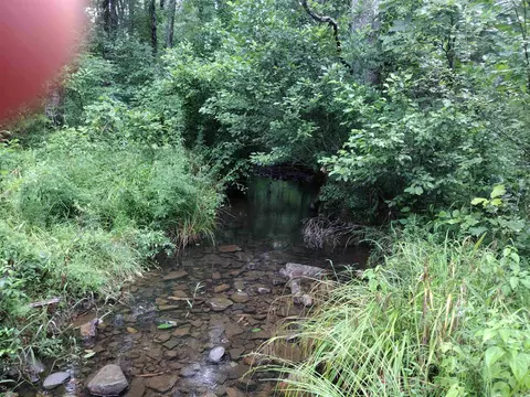 Other - 300 Arrow Head, Mountain View, AR 72560 photo 2 of 12