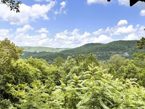 Other - 22 Sylamore Vis, Mountain View, AR 72560 photo 1 of 5