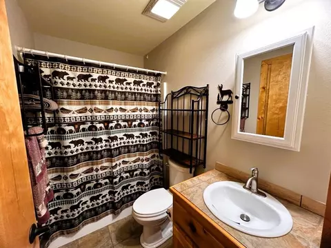 Bath - 22 Sylamore Vis, Mountain View, AR 72560 photo 1 of 4