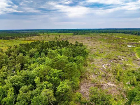 000 Chandler Rd, Glen Rose, AR 72104 photo 22