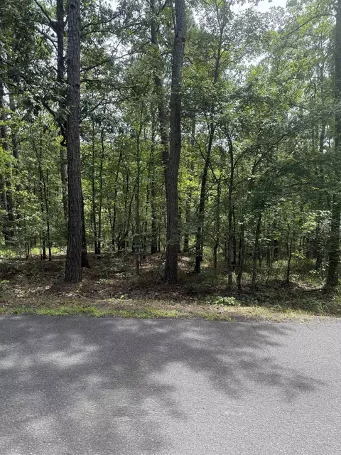 14 Ola Way, Hot Springs Village, AR 71909