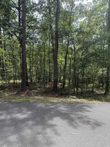 14 Ola Way, Hot Springs Village, AR 71909