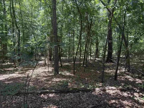Oakmont Drive, Alexander, AR 72002 photo 2
