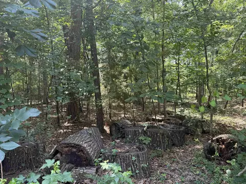 Oakmont Drive, Alexander, AR 72002 photo 5